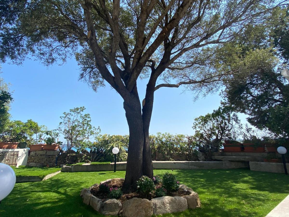 Villa La Casa Sull'Acqua Olbia Exterior foto
