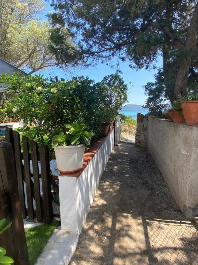 Villa La Casa Sull'Acqua Olbia Exterior foto